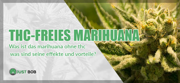 THC-freies Marihuana: Wirkungen und Vorteile