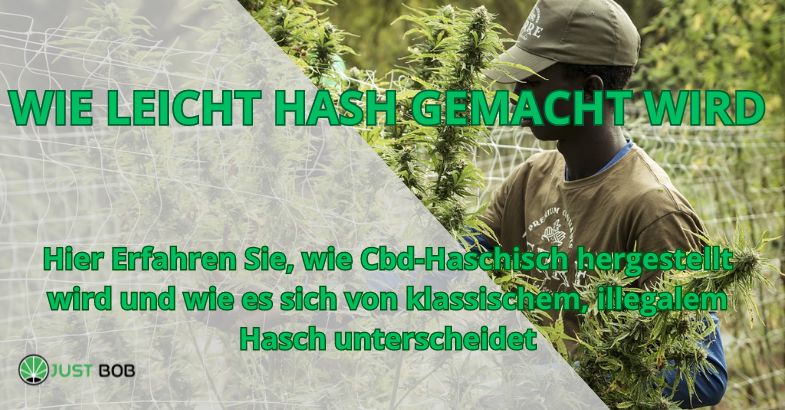 WIE LEICHT HASH GEMACHT WIRD