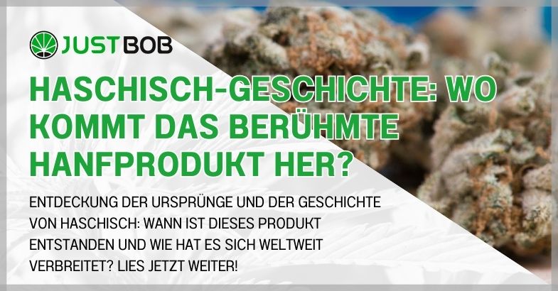 Haschisch-Geschichte: Wo kommt das berühmte Hanfprodukt her?