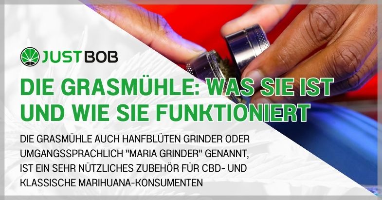 Die Grasmühle: Was sie ist und wie sie funktioniert