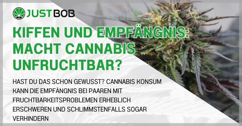 Kiffen und Empfängnis: Macht Cannabis unfruchtbar?