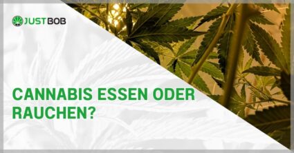 Cannabis essen oder rauchen?