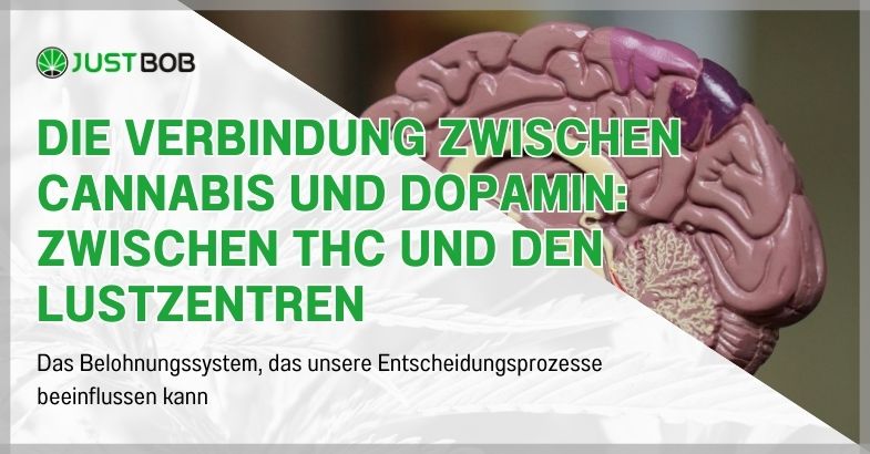 Die Verbindung zwischen Cannabis und Dopamin