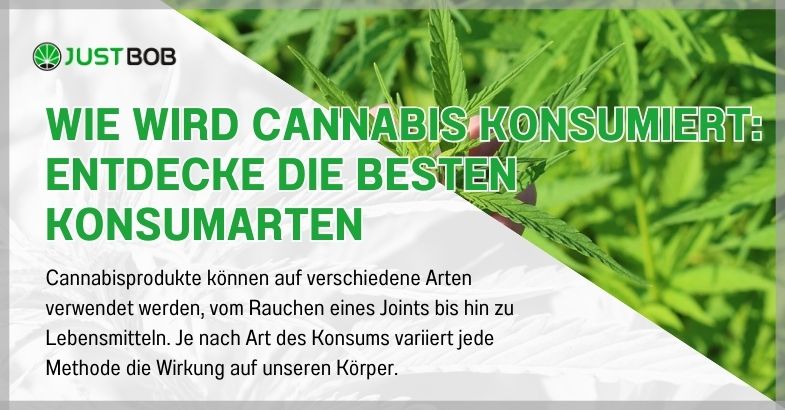 Wie wird Cannabis konsumiert: Entdecke die besten Konsumarten